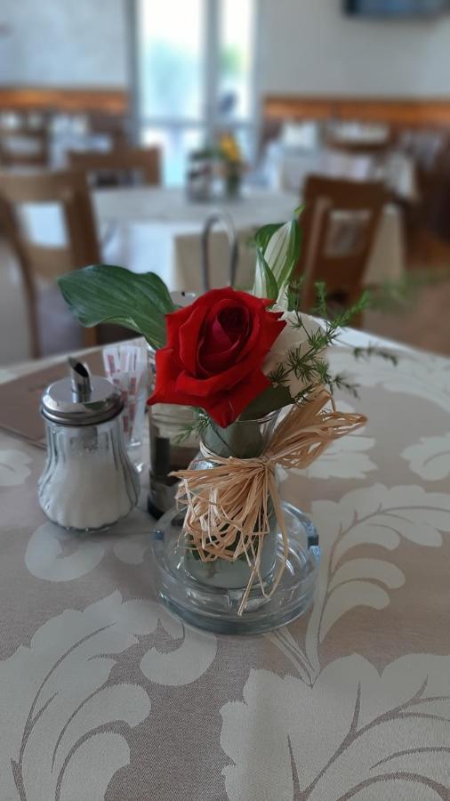 Prenociste I Restoran Ihthis Bajina Basta Eksteriør billede
